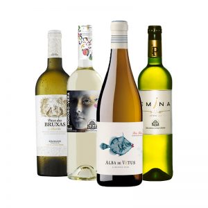 vino blanco albariño vs verdejo