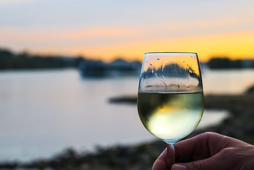 Datos importantes del Vino Blanco que debes conocer